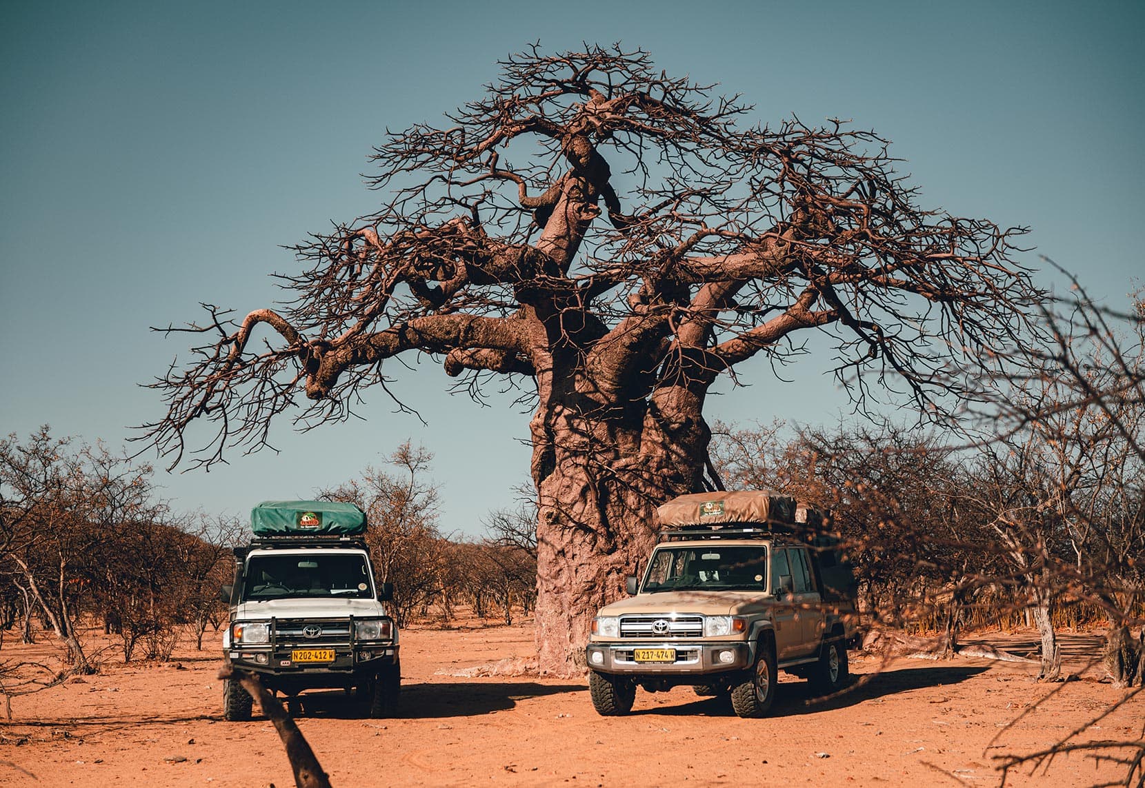 Group-1b-toyota-landcruiser-at-baobab-tree