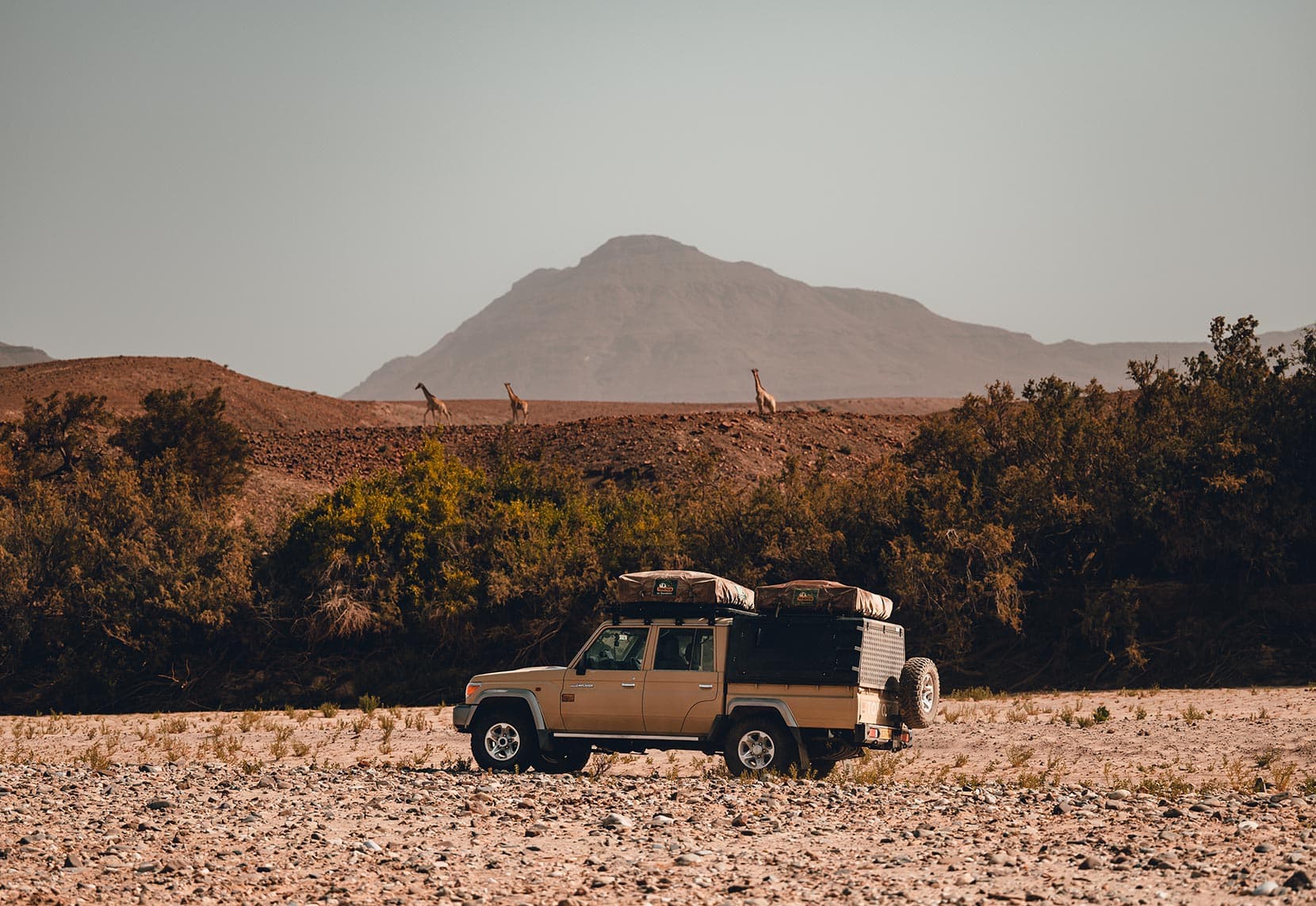 Group-1b-toyota-landcruiser-with-giraffes-in-back-ground